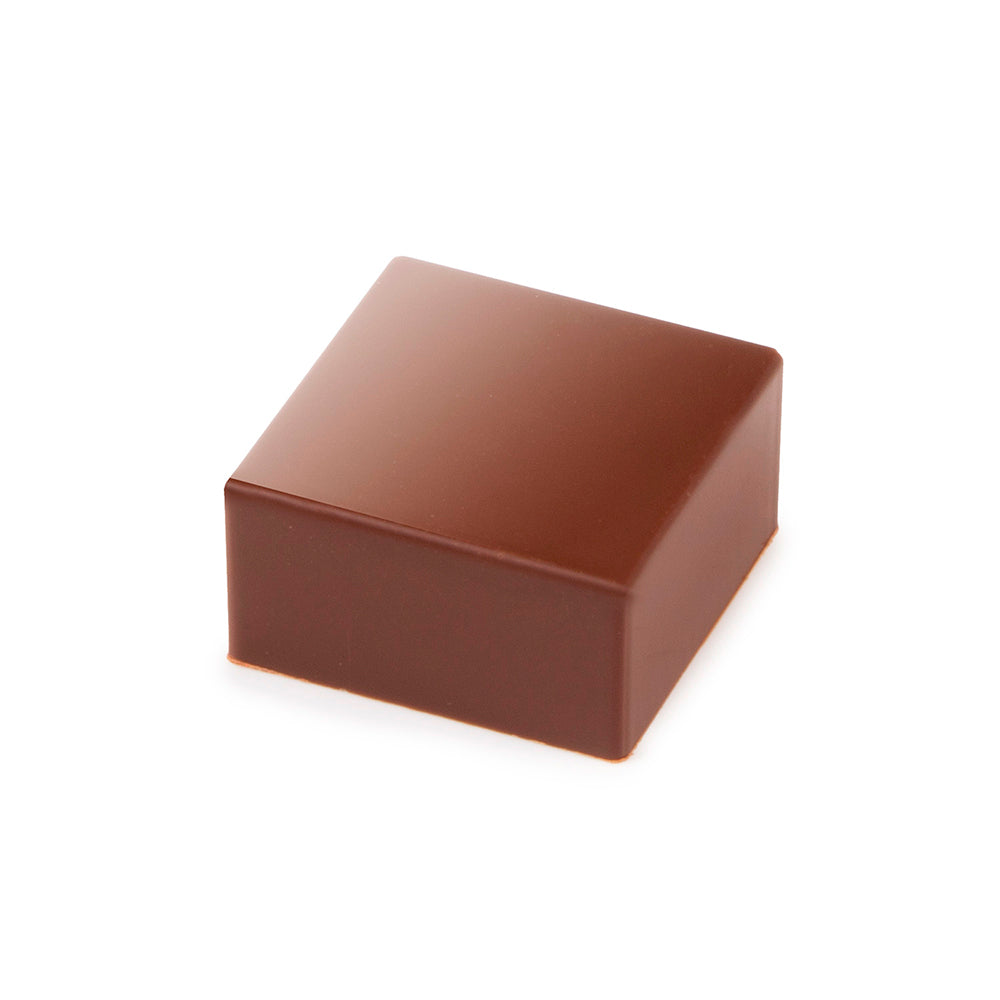 Praline Bloc Chocolate Mold