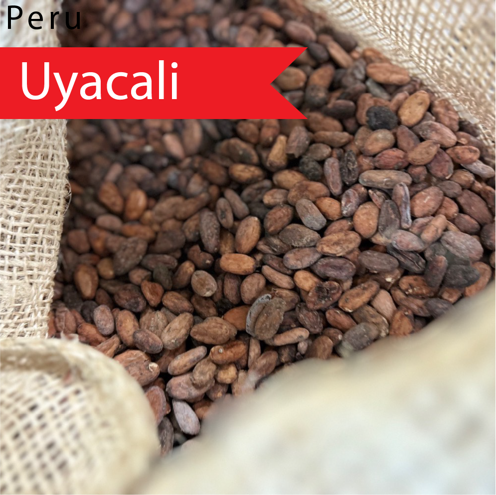 Peruvian Cocoa Beans - Origin "Peru" - Raw, Fermented, Vegan